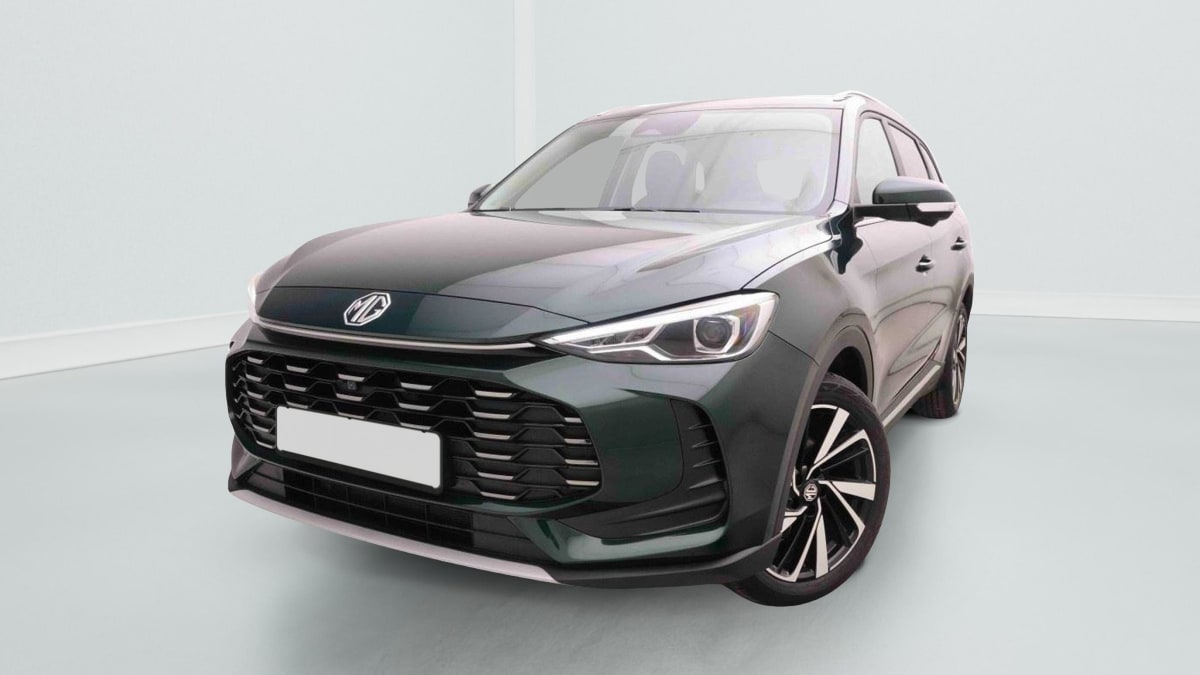 378322_p2 - MG - ZS - 2026 - photo 1