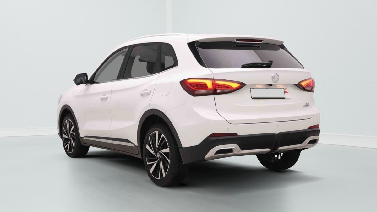 383326_p2 - MG - ZS - 2026 - photo 4